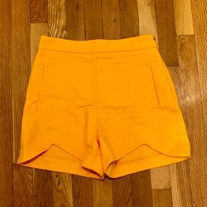Mustard Scalloped High-Waisted Shorts